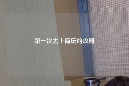 第一次去上海玩的攻略