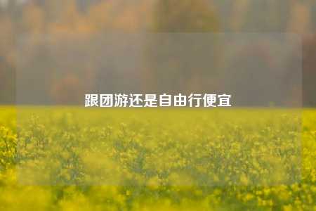 跟团游还是自由行便宜
