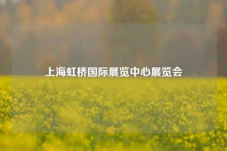 上海虹桥国际展览中心展览会