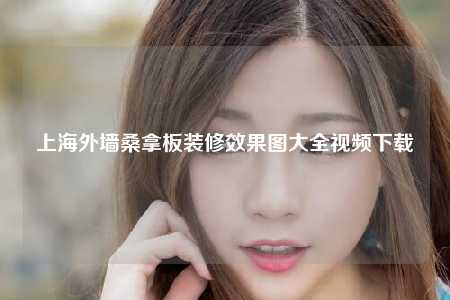 上海外墙桑拿板装修效果图大全视频下载