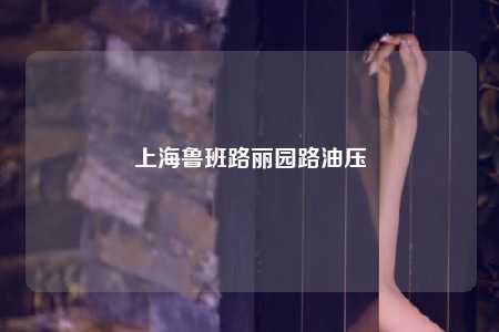 上海鲁班路丽园路油压