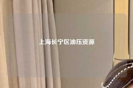 上海长宁区油压资源