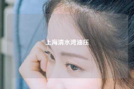 上海清水湾油压