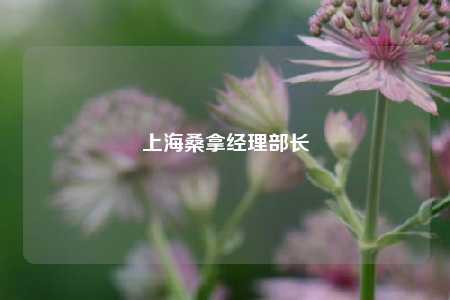 上海桑拿经理部长
