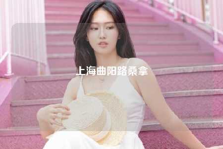 上海曲阳路桑拿