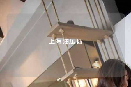 上海 油压 kb
